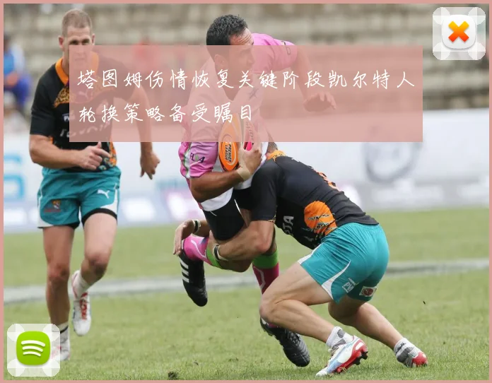 塔图姆伤情恢复关键阶段凯尔特人轮换策略备受瞩目