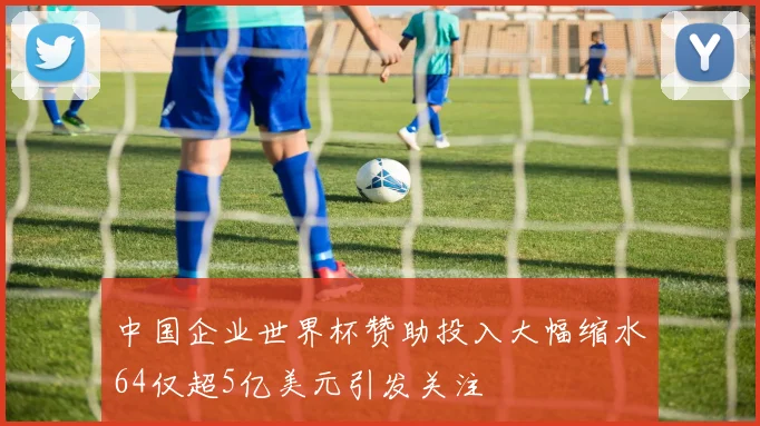 中国企业世界杯赞助投入大幅缩水64仅超5亿美元引发关注